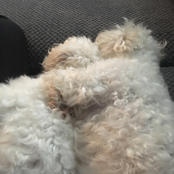 Meet your Posher, Deanna - Picture 3 of 3